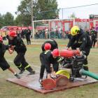 zdjęcie nr 117