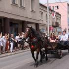 zdjęcie nr 72