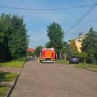 Fotka nr 1 z 2