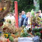 zdjęcie nr 36