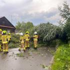 zdjęcie nr 34