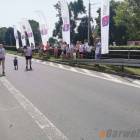 zdjęcie nr 201