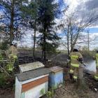 zdjęcie nr 13