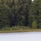 zdjęcie nr 315