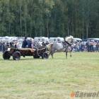zdjęcie nr 16