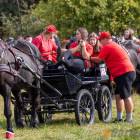 zdjęcie nr 15