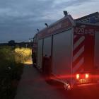 Fotka nr 2 z 11
