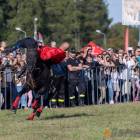 zdjęcie nr 144
