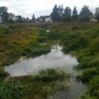 zdjęcie nr 31