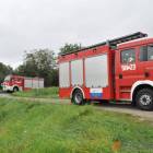 zdjęcie nr 13
