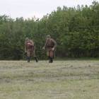 zdjęcie nr 216