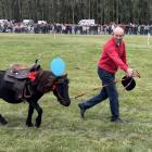 zdjęcie nr 37