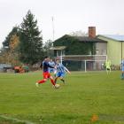 zdjęcie nr 102