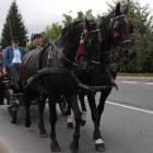 zdjęcie nr 105
