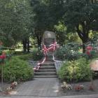zdjęcie nr 89