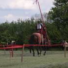 zdjęcie nr 129