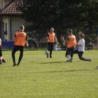 zdjęcie nr 152