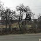 zdjęcie nr 10