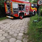 Fotka nr 4 z 8