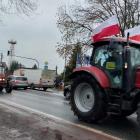 Fotka nr 2 z 11