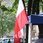 zdjęcie nr 15