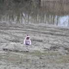 zdjęcie nr 49