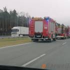 Fotka nr 4 z 6