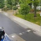 Fotka nr 1 z 8