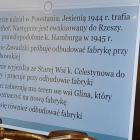 zdjęcie nr 13