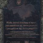 zdjęcie nr 26