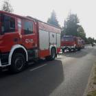 Fotka nr 1 z 2