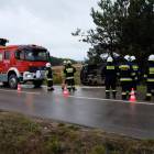 Fotka nr 1 z 4