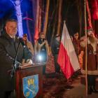 zdjęcie nr 201