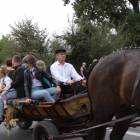 zdjęcie nr 100