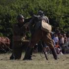 zdjęcie nr 72