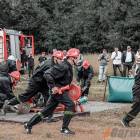 Fotka nr 5 z 71