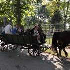 zdjęcie nr 188