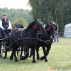 zdjęcie nr 23