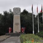 zdjęcie nr 95