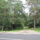 zdjęcie nr 8