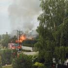 Fotka nr 2 z 12