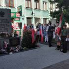 zdjęcie nr 121
