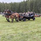zdjęcie nr 155