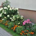 zdjęcie nr 49
