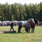 zdjęcie nr 93