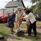 zdjęcie nr 45