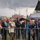 zdjęcie nr 171