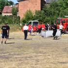 zdjęcie nr 42