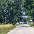 zdjęcie nr 17