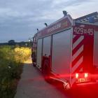 Fotka nr 1 z 2